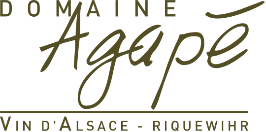 Logo Domaine Agapé